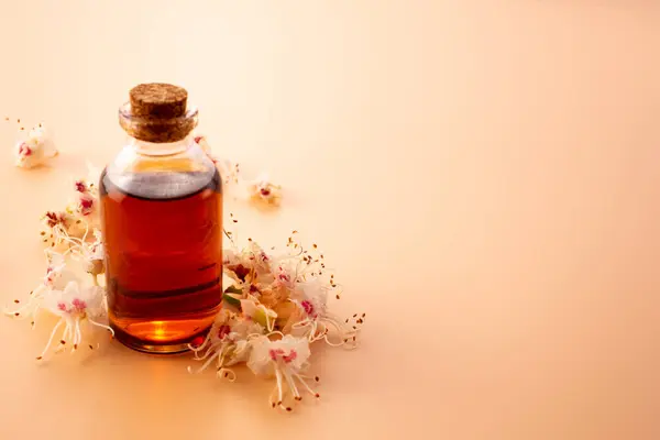 Bej arka planda kavanozda at kestanesi çiçeği tentürü. Tedavi konsepti. Boşluğu kopyala, kapat