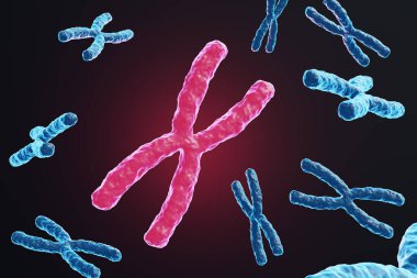 Koyu siyah arka planda diğer mavi kromozomlardan yansıyan parlak kırmızı kromozom. DNA, genetik materyal ve üreme kavramının yansıması