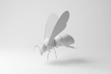 Tek renk ve minimalizmde beyaz arka planda uçan beyaz eşekarısı. Arılar, böcekler ve vahşi yaşam kavramının tasviri