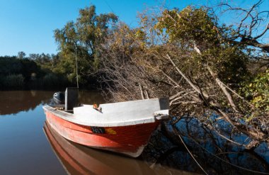 Suda bir tekne, ağaçların yanında. Conchillas, Uruguay