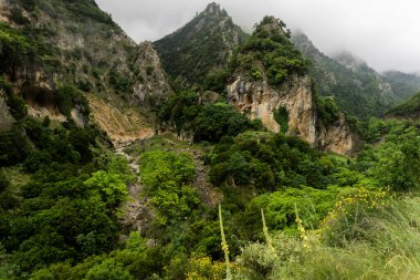 gizemli kayalık dağ zirveleri sis ve bulutlarla