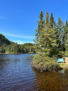 Büyükbabalar doğaldır. Libert Kanada.