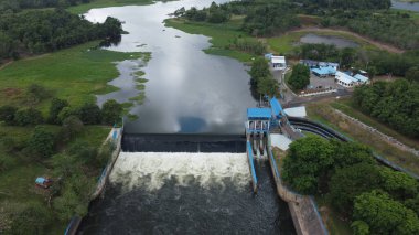 Pirinç tarlaları ve mavi gökyüzü arkaplanı, Subang, Batı Java, Endonezya