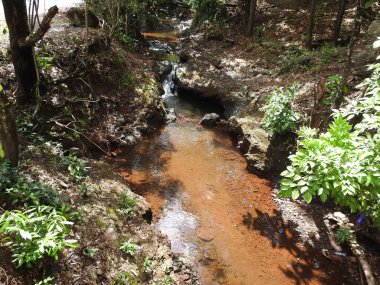 Tahura Sultan Adem 'in güzel küçük nehir manzarası, Güney Kalimantan, Endonezya