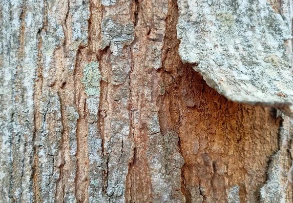 Eski kırık ahşap doku arka plan