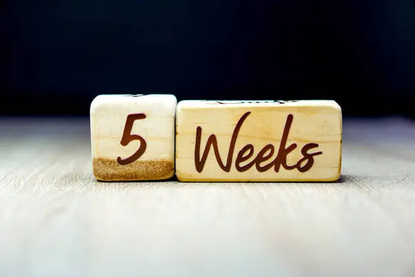 5 week pregnancy age milestone written on a wooden cube with a black background