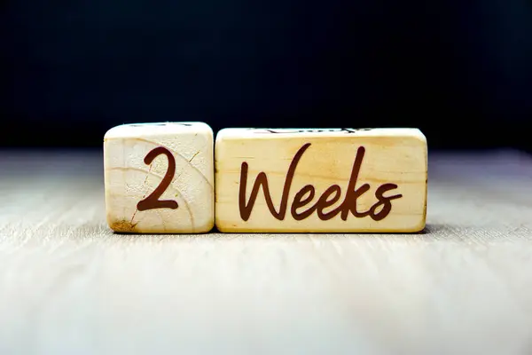 2 haftalık hamilelik yaşı dönüm noktası siyah arka planlı tahta bir küp üzerine yazılmış.