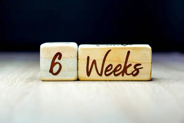 6 week pregnancy age milestone written on a wooden cube with a black background