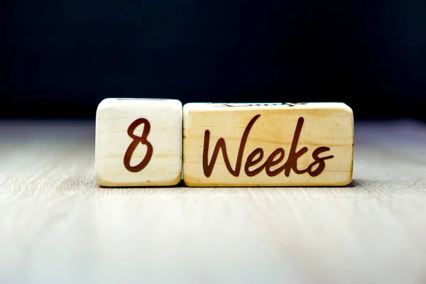 8 week pregnancy age milestone written on a wooden cube with a black background