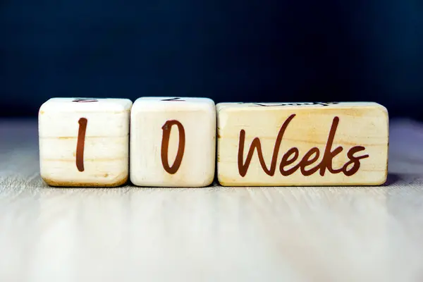10 week pregnancy age milestone written on a wooden cube with a black background