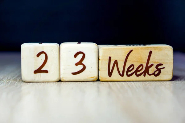 23 week pregnancy age milestone written on a wooden cube with a black background