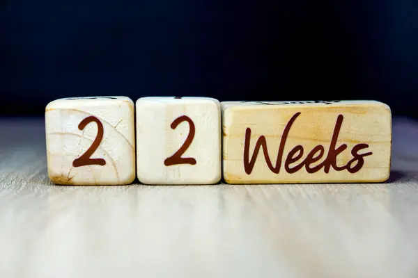 22 week pregnancy age milestone written on a wooden cube with a black background