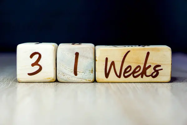 31 week pregnancy age milestone written on a wooden cube with a black background