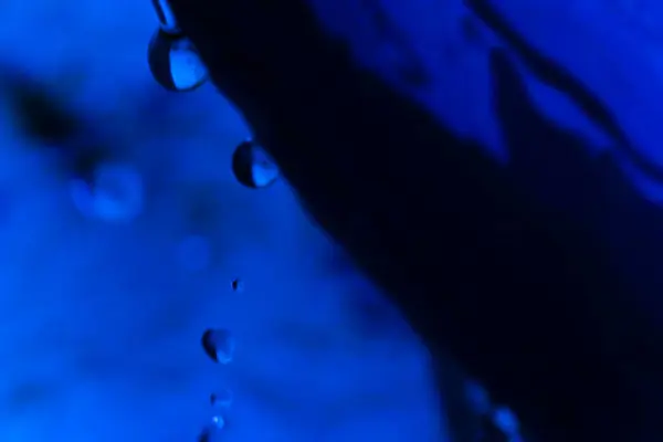 Mavi ışıklı kovadan su damlacıklarının yakın çekimi
