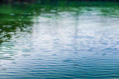 Yağmurlu bir hava. Yeşil göl suyunun yüzeyinde dalgalanan yağmur damlaları.