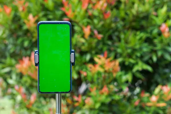 Portre pozisyonunda ve bulanık arkaplanda yeşil ekranlı akıllı bir telefonun yakın plan görüntüsü.