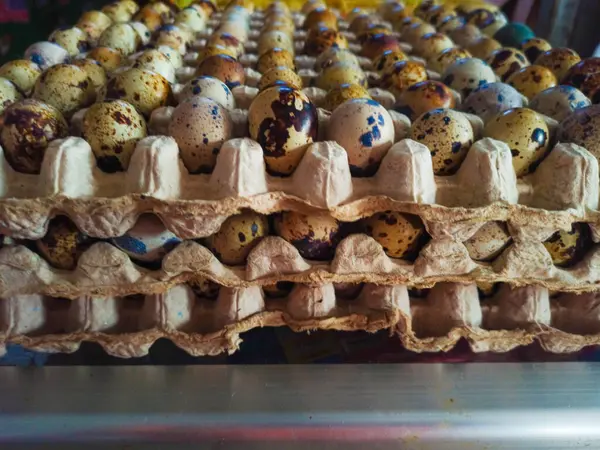 stock image Stacks of egg trays filled with speckled quail eggs, showcasing the unique patterns and colors. The eggs are neatly arranged in a market setting