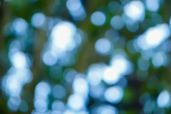 Soyut bulanık Bokeh ışıkları doğada, yumuşak mavi ve yeşil renkler rüya gibi bir etki yaratıyor..