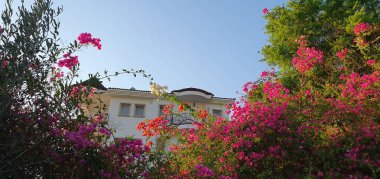 Türkiye 'nin tatil bölgelerinde Bougainvillea ve sokak manzaraları