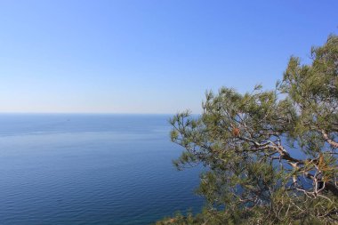 Yeşil ormanları, durgun denizi ve berrak gökyüzü olan Büyükada adasının dağlarının tepesinden manzara