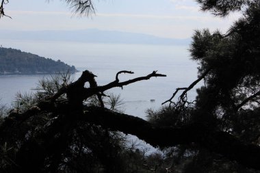 Yeşil ormanları, durgun denizi ve berrak gökyüzü olan Büyükada adasının dağlarının tepesinden manzara