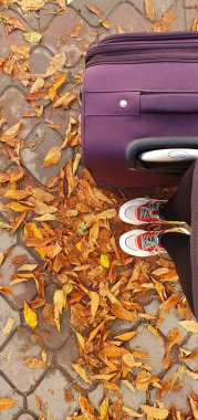 Sonbaharda renkli bir yolculuk