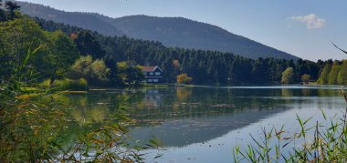 Abant doğa parkında sonbahar manzarası