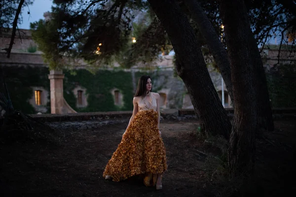 Şatonun önündeki ormanda poz veren zarif, tasarımcı elbisesi giyen bir kadın..