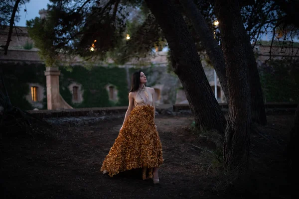 Şatonun önündeki ormanda poz veren zarif, tasarımcı elbisesi giyen bir kadın..
