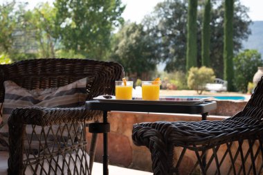 İki bardak portakal suyu bir masada oturur, her birinin kenarında bir dilim portakal vardır. Arka planda bir yüzme havuzu ve ağaçlar görülebilir..