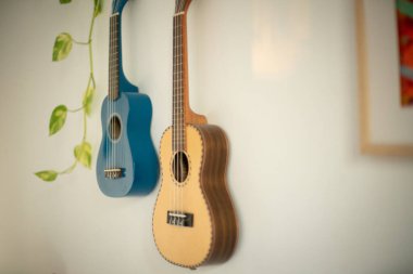 Beyaz bir duvarda mavi bir ukulele ve bej bir ukulele asılı. Arkaplanda yeşillik