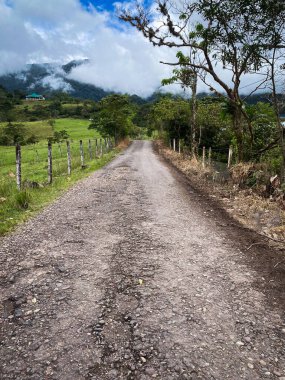 Yeşil bitkiler ve ağaçlardan geçen toprak bir patika. Bölge sessiz ve doğal.