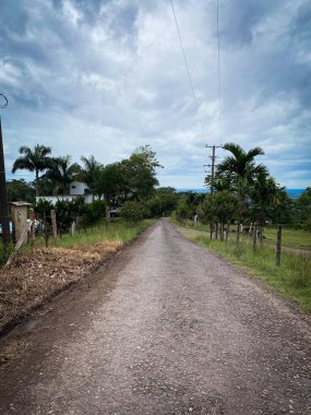 Yeşil bitki ve ağaçların arasından geçen toprak bir patika. Yolun bir kısmı daha kırsal ve yıpranmış görünüyor..