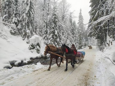 Karpat Dağları 'ndaki Ukrayna manzarası