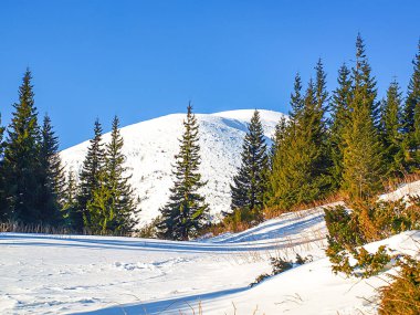 Karpat Dağları 'ndaki Ukrayna manzarası