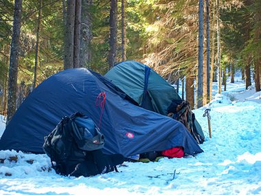 Karpat Dağları 'ndaki Ukrayna manzarası