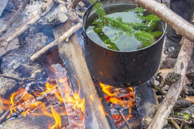 Karpat Dağları 'ndaki Ukrayna manzarası