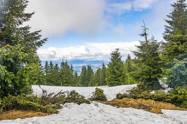 Karpat Dağları 'ndaki Ukrayna manzarası