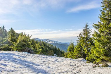 Karpat Dağları 'ndaki Ukrayna manzarası