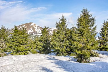 Karpat Dağları 'ndaki Ukrayna manzarası