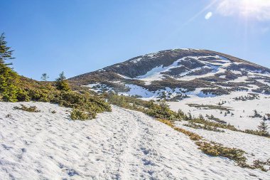 Karpat Dağları 'ndaki Ukrayna manzarası