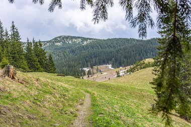 Karpat Dağları 'ndaki Ukrayna manzarası