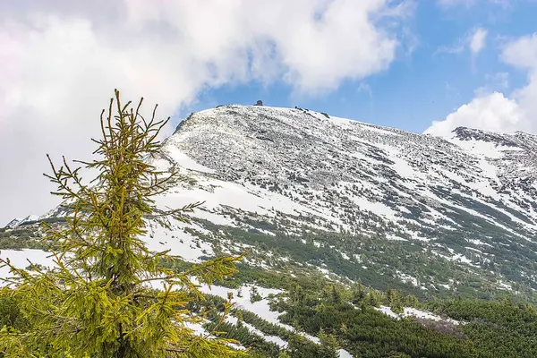 Karpat Dağları 'ndaki Ukrayna manzarası