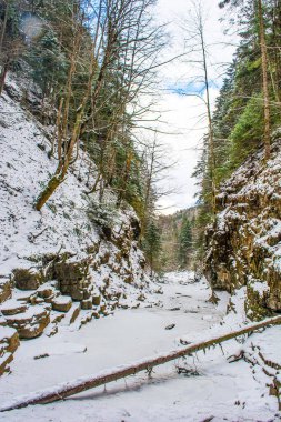 Karpat Dağları 'ndaki Ukrayna manzarası