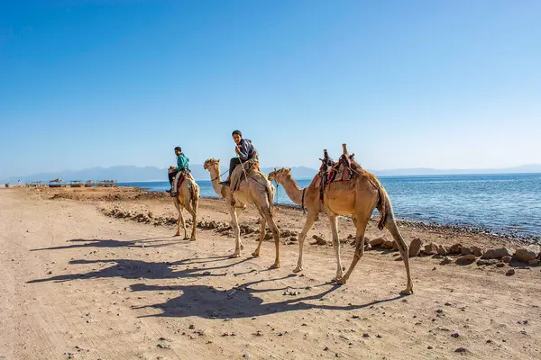 Mısır turist ve güzel bir ülkedir.