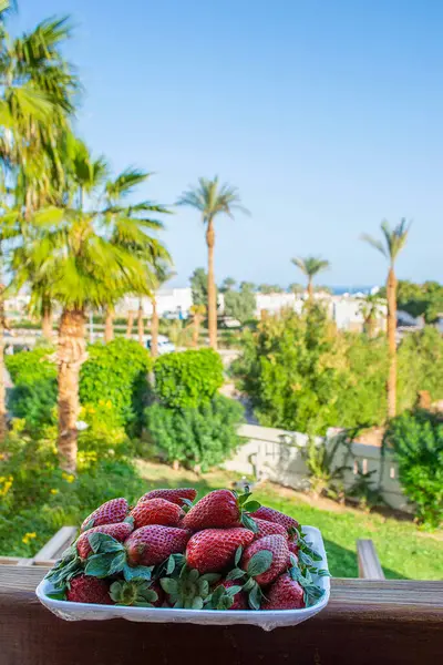 Mısır turist ve güzel bir ülkedir.