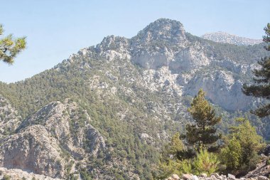 Türkiye 'de kamp tarzında fotoğraflar