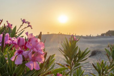 Türkiye 'de kamp tarzında fotoğraflar