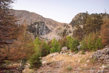 Türkiye 'de kamp tarzında fotoğraflar