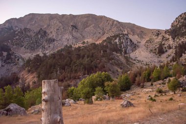 Türkiye 'de kamp tarzında fotoğraflar